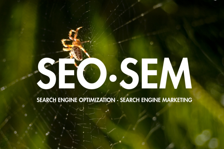 Seo e Sem : prendiamo una posizione