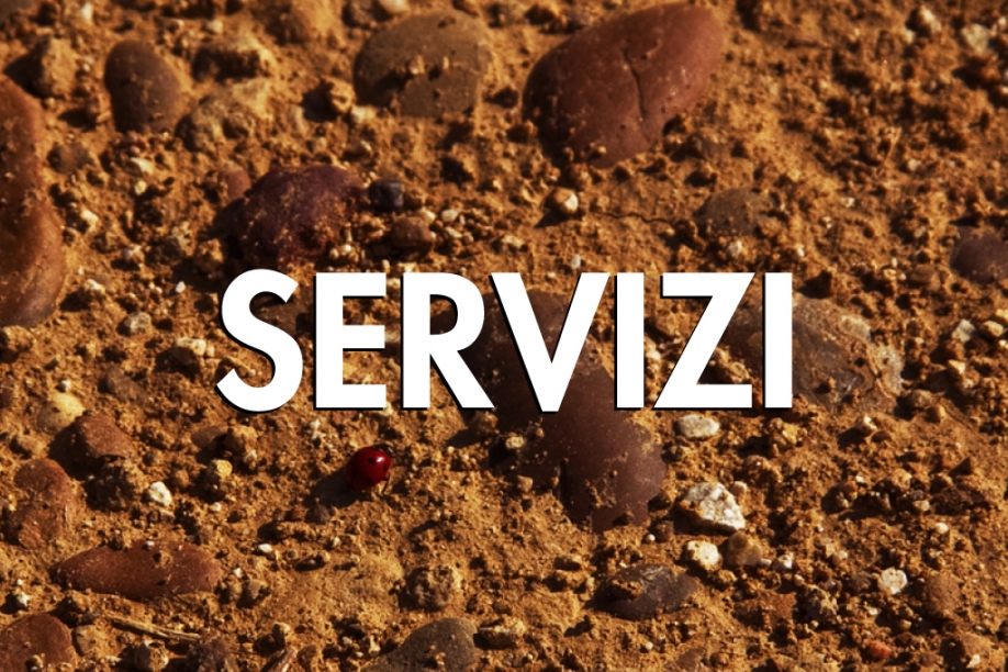 Servizi