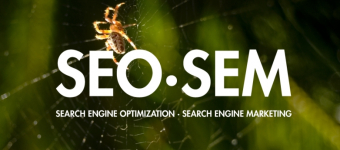 Seo e Sem : prendiamo una posizione